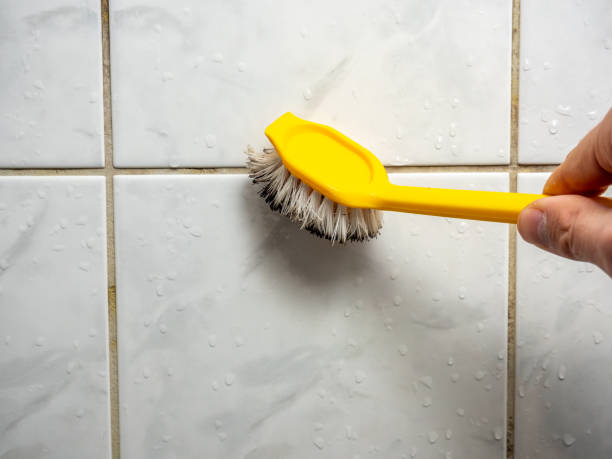 Best Mold Testing  in Stony Point, NC