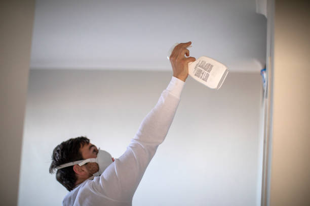 Best Office Mold Removal Services  in Stony Point, NC