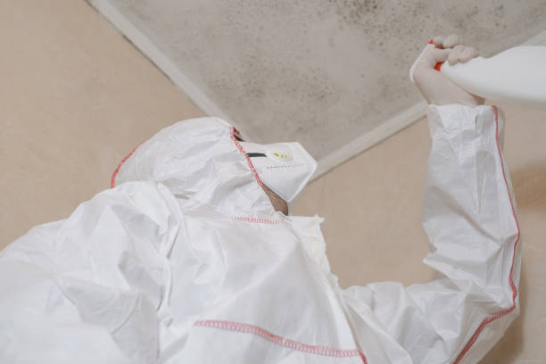 Best Professional Mold Removal  in Stony Point, NC